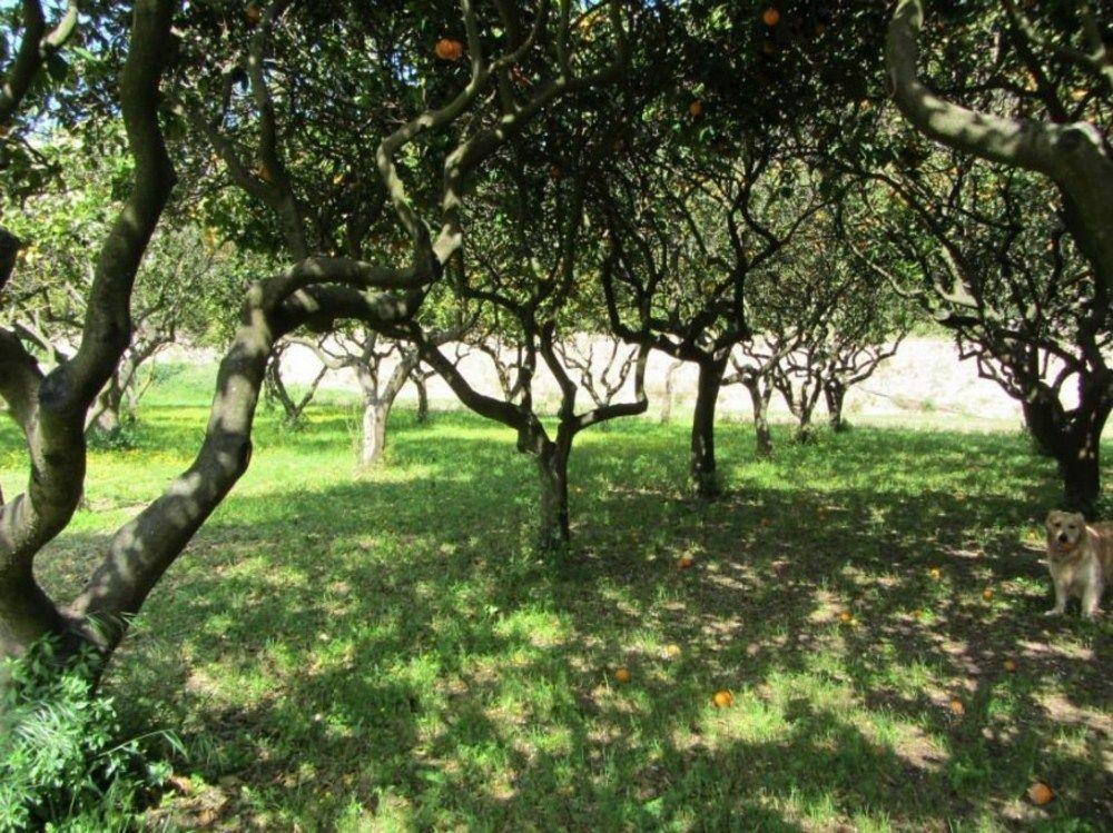 Ca N'ai - Adults Only Hotel Soller